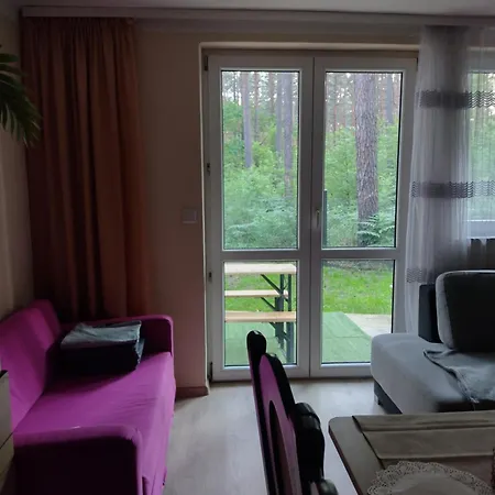 Positive Energy 3 Biala (Piotrkow)