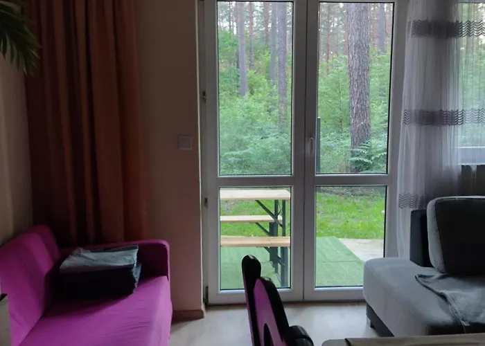 Positive Energy 3 Biala (Piotrkow)